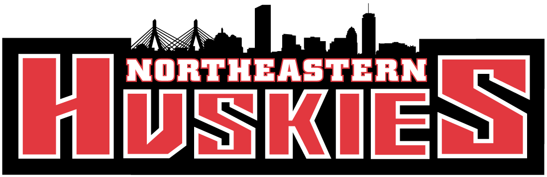 Northeastern Huskies 2001-Pres Wordmark Logo t shirts DIY iron ons v2